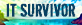 VM Ware