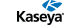 Kaseya
