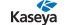 Kaseya