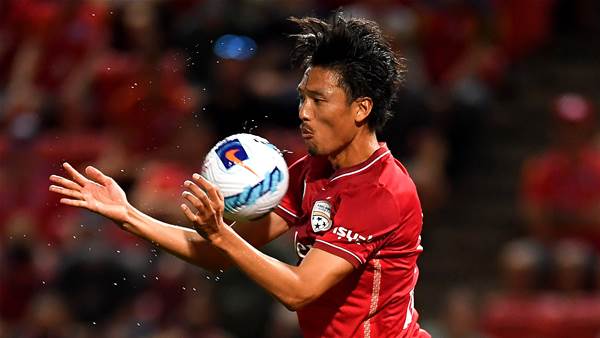 Reds down Jets, return to ALM winners' list