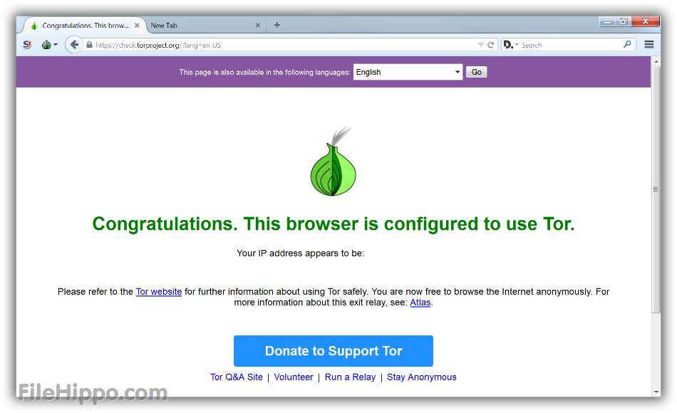 tor browser download for pc