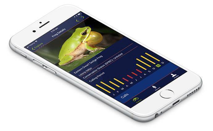 Ribbiting stuff: museum app gives people chance to help in frog research, Amphibians