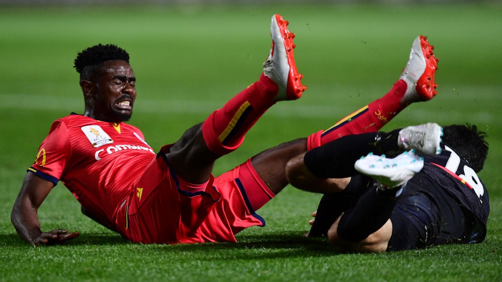 Adelaide cut four A-League players, sign up two NPL guns Adelaide cut four A-League players, sign up two NPL guns