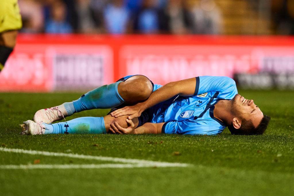 Sydney FC v Wellington Phoenix Player Ratings Sydney FC v Wellington Phoenix Player Ratings