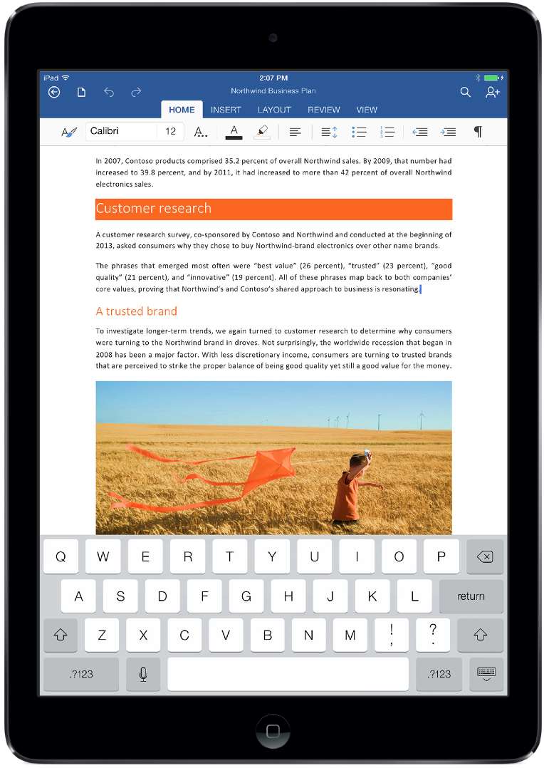 microsoft office for ipad support