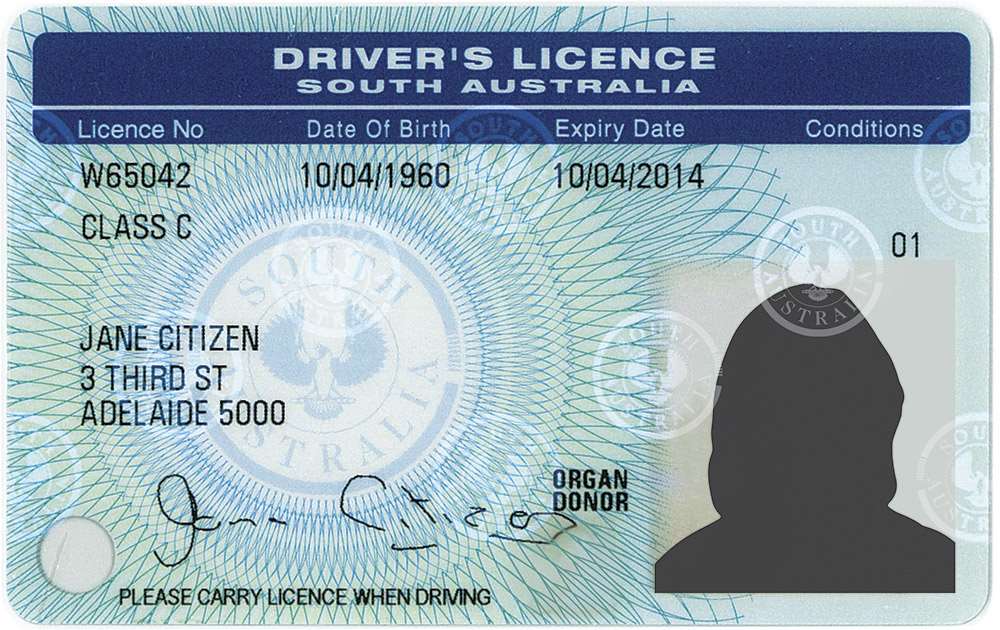driving licence soft copy download