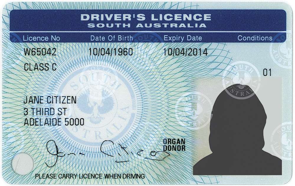 fake drivers licence south australia