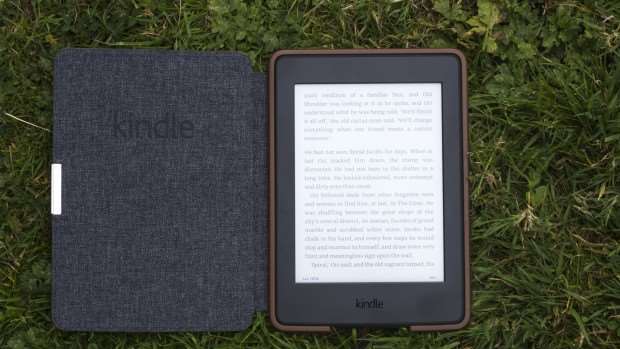 Amazon Kindle Paperwhite (2015) review: There's a good range of quality cases available for the Paperwhite