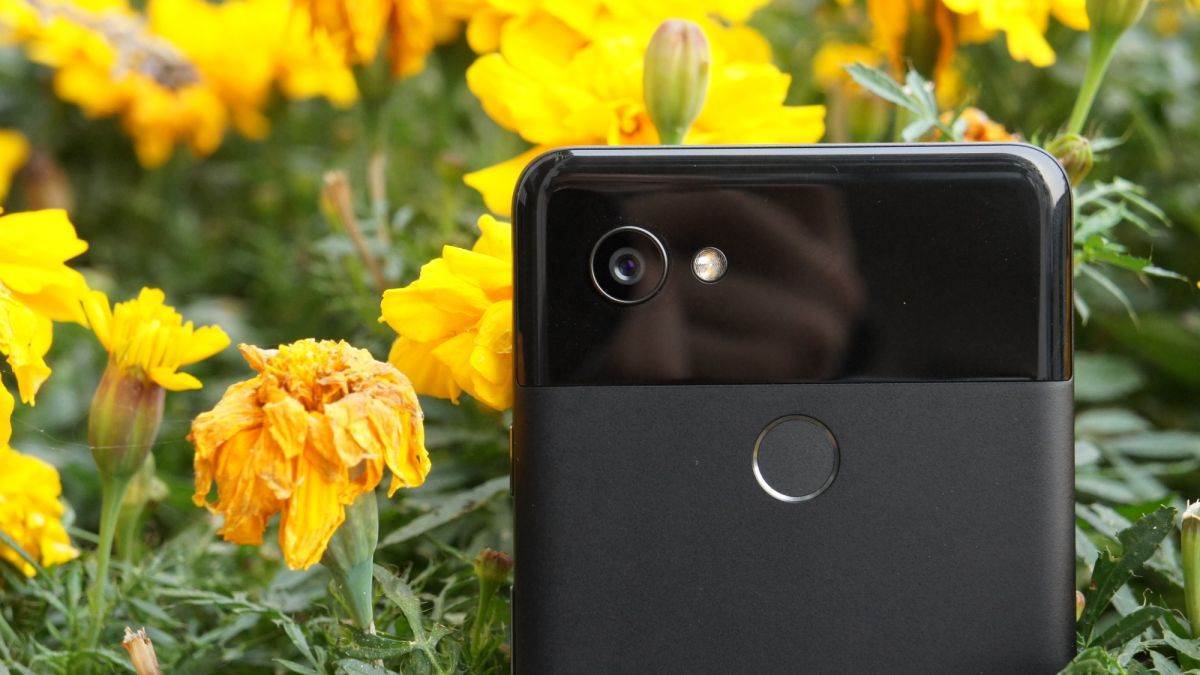 Google Pixel 2 XL review: the best big-screened Android experience