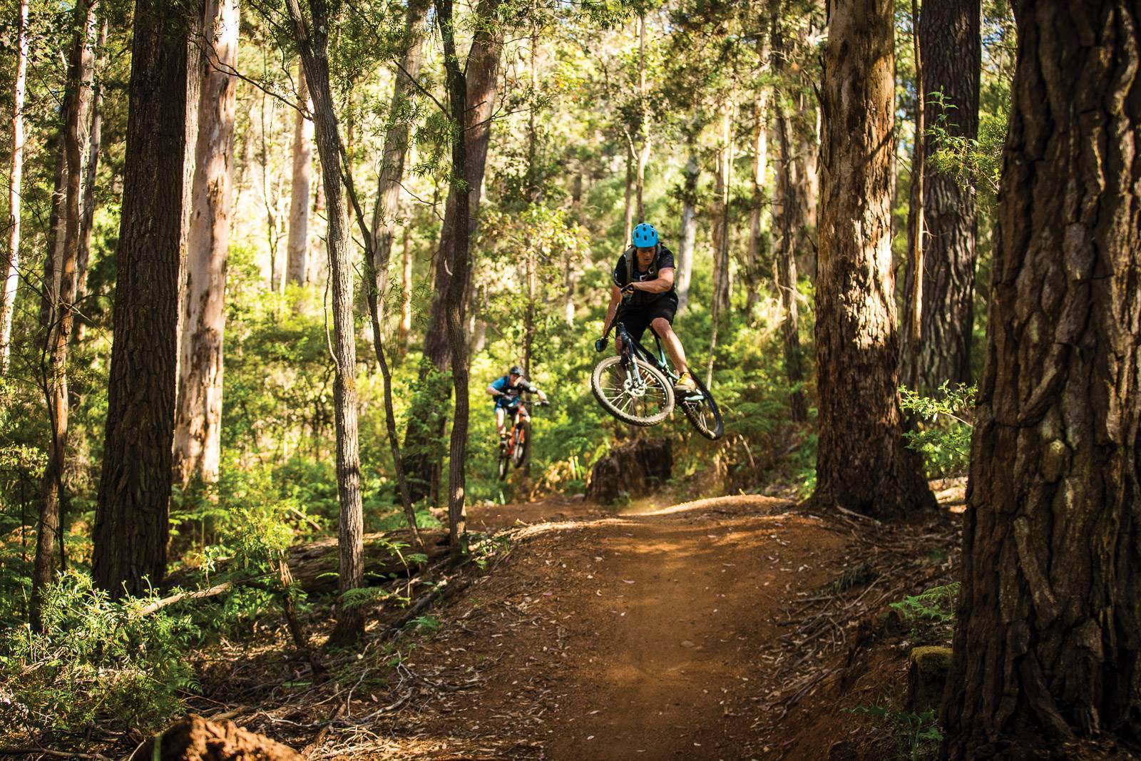 Carter road mtb online trails