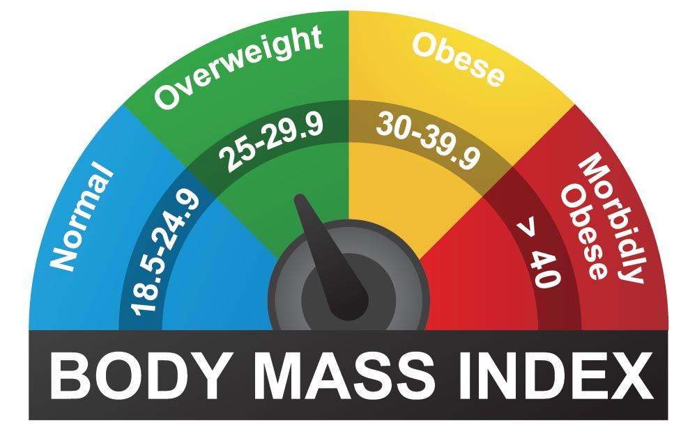 Body Composition