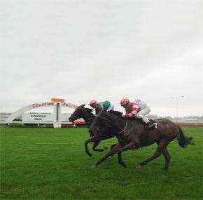 Jockey James McDonald Apprentice Jockey