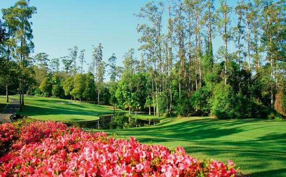 Bonville Resort just South of Coffs Harbour