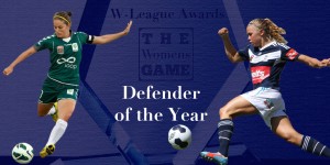 defender-award-2014