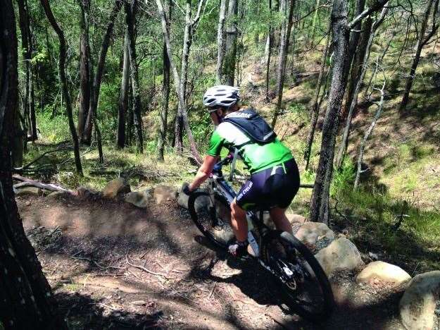 bunya mountain bike tracks