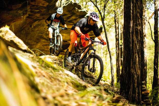 bike tracks blue mountains