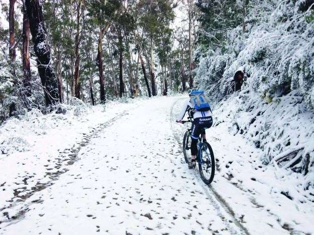 bruce ridge mtb