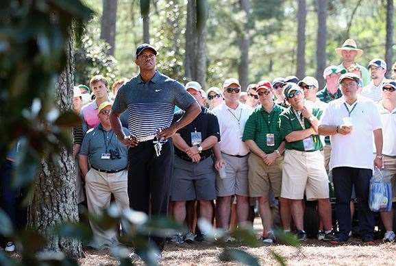 Tiger Woods waits to play a shot from the pine needles on the 14th hole. He finished with a 68. PHOTO: Getty Images.