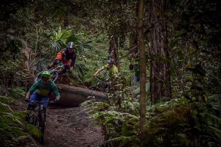 mountain bike trails northern beaches