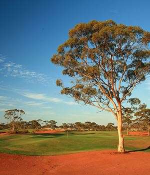 Kalgoorlie GC. PHOTO:Brendan James