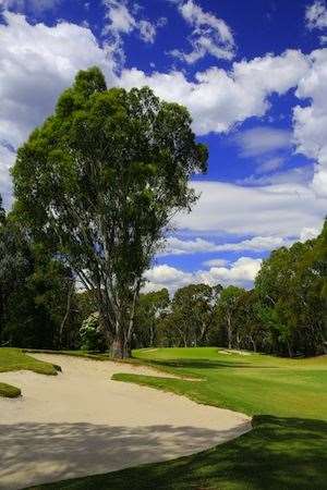 Kew's long par-4 3rd hole is a real test of length and placement.
