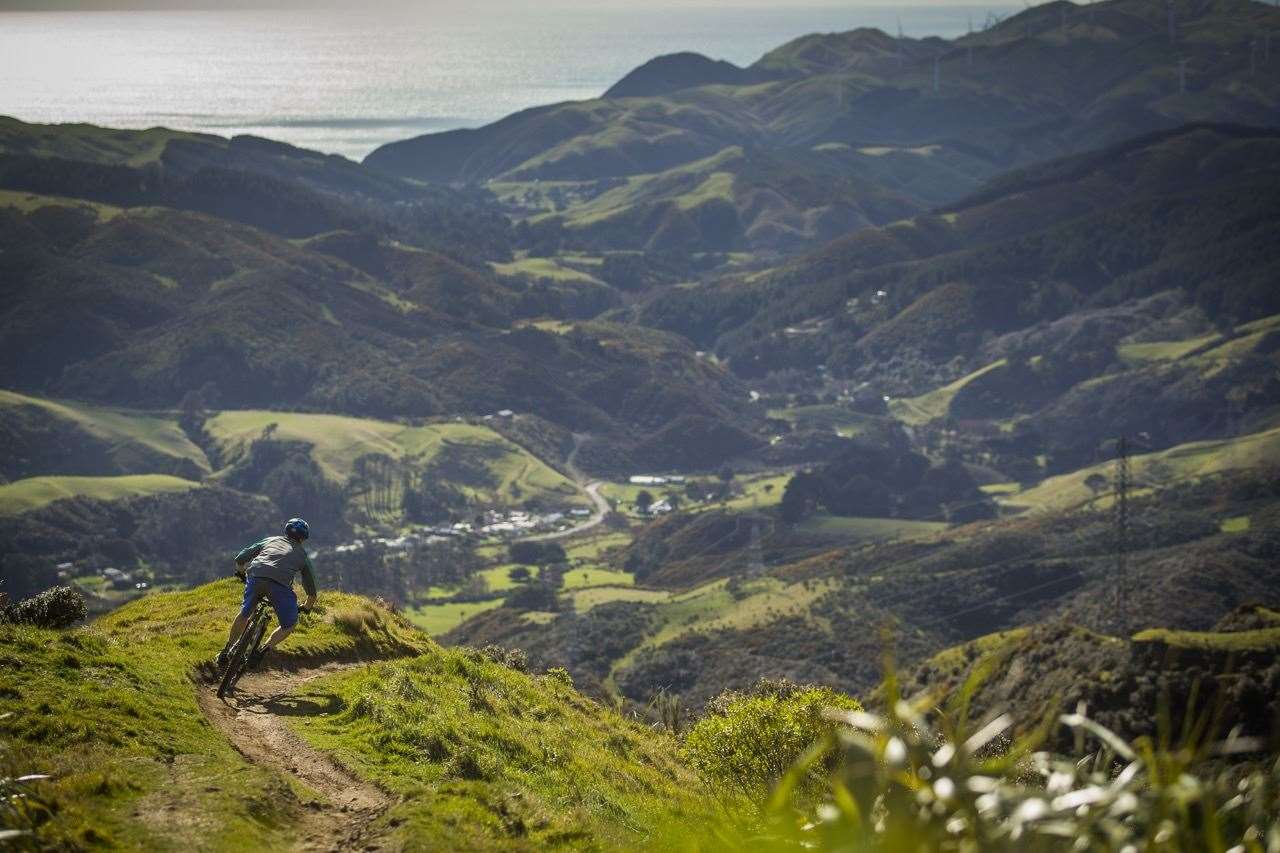 Wellington the mountain biker s capital Australian Mountain