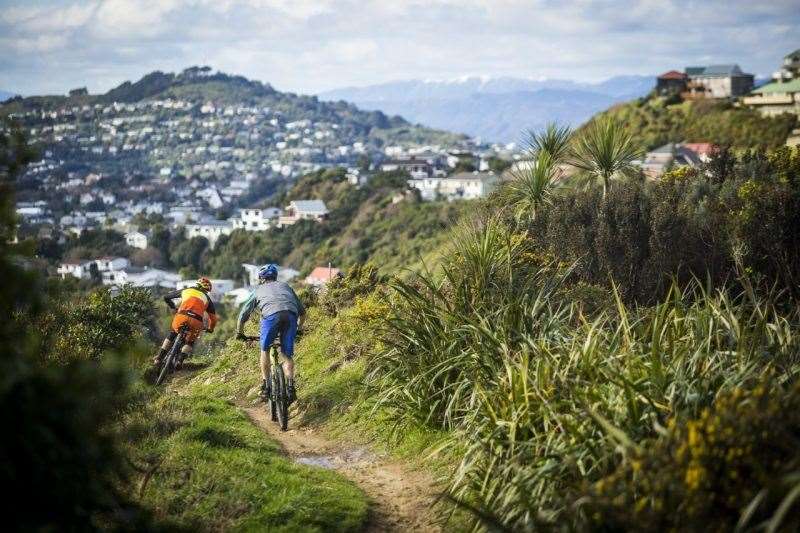 Wellington the mountain biker s capital Australian Mountain