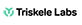 Triskel Labs