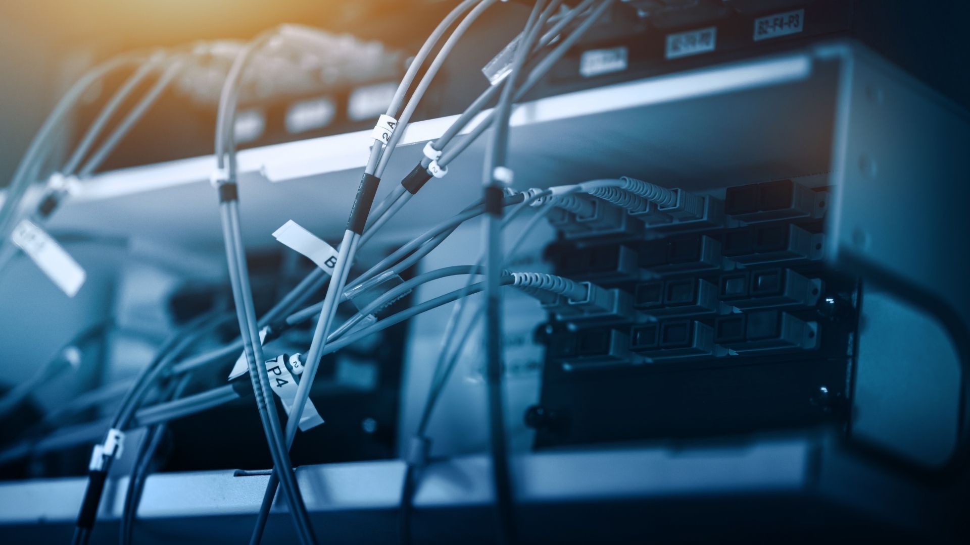 Why Network Infrastructure Will Decide AI’s Future