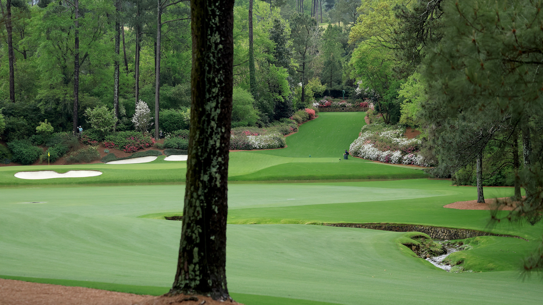 The Masters 2023: Full field and how they qualified for Augusta