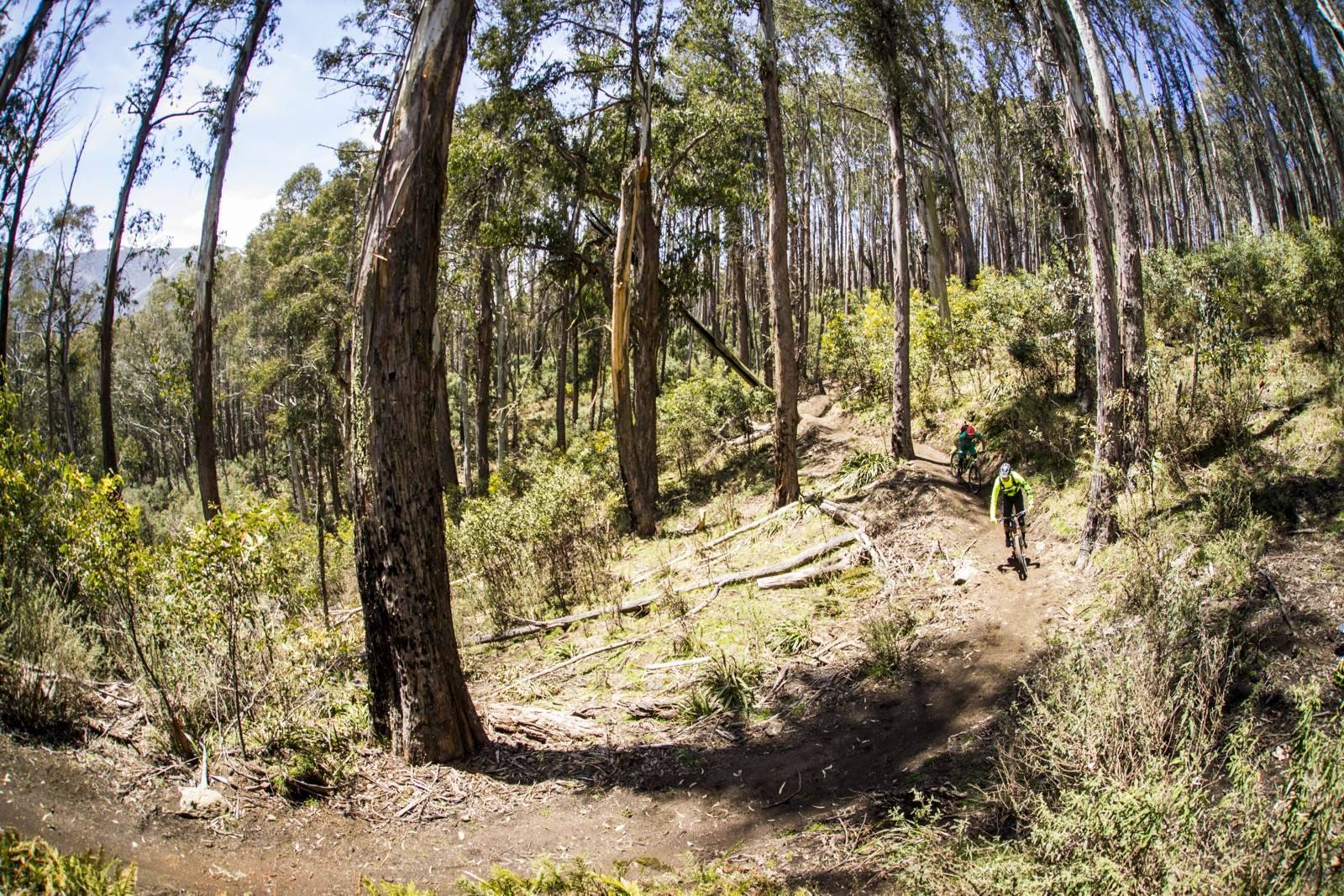 Escape to Falls Creek - Australian Mountain Bike | The home for ...