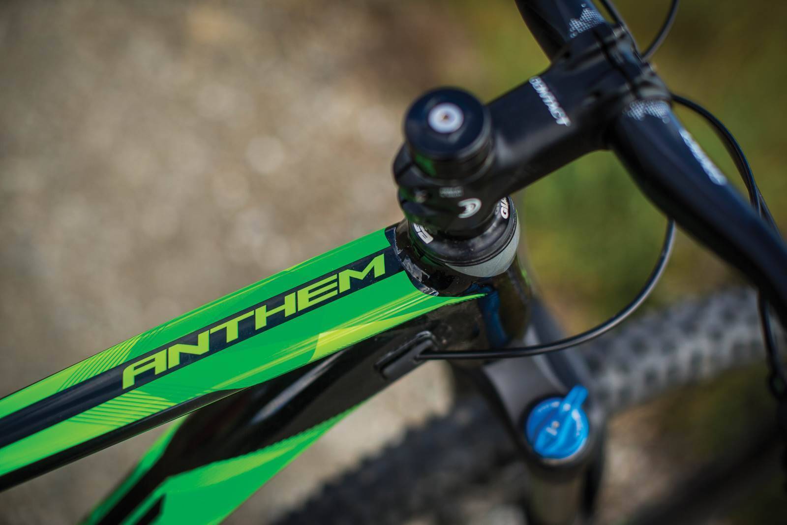 Giant anthem clearance 2 2019