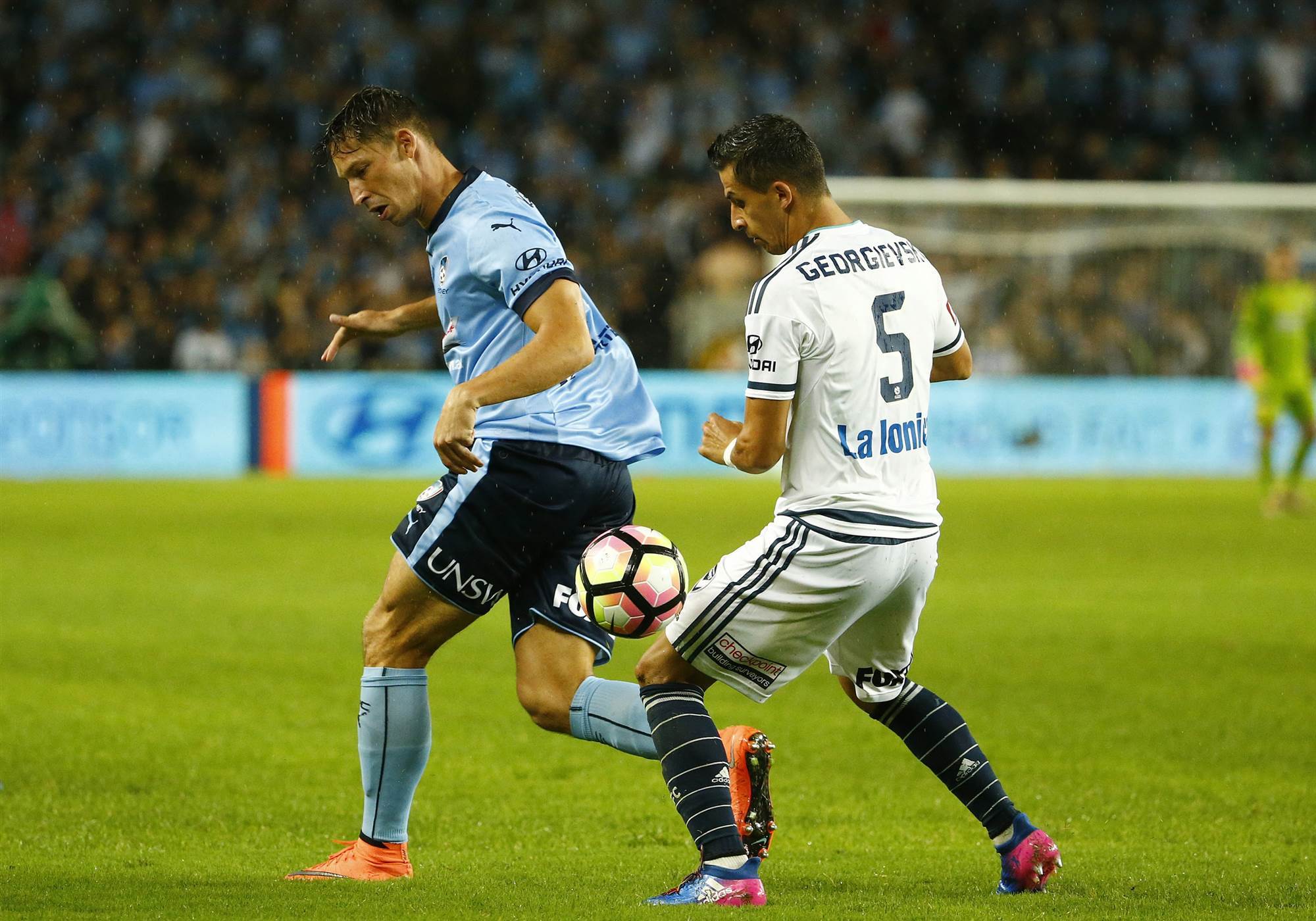 Sydney clinch first Big Blue clean sweep - FTBL | The home of football ...