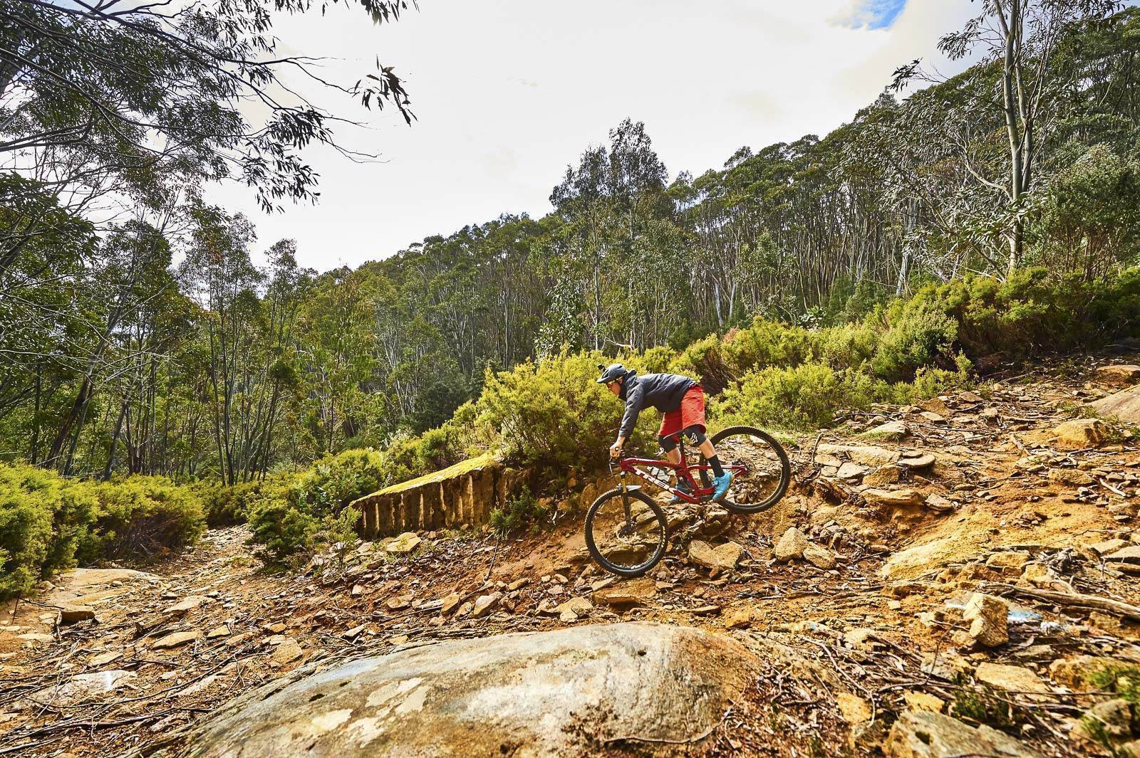 mt baw baw mtb