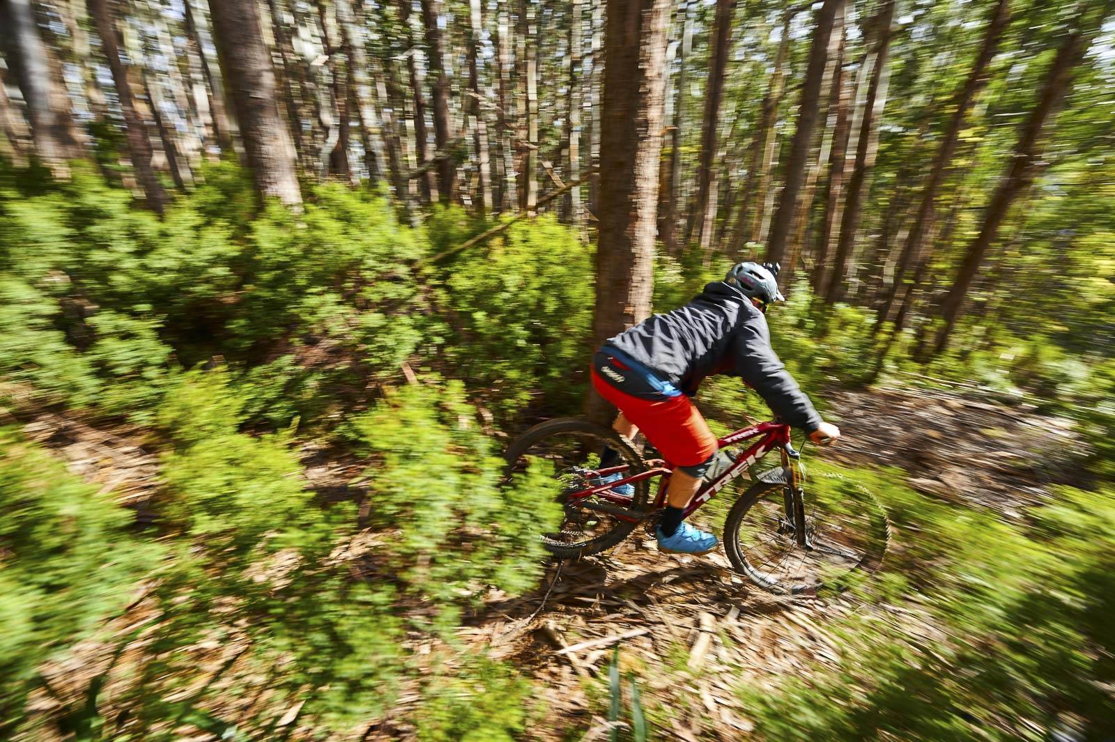 mt baw baw mtb