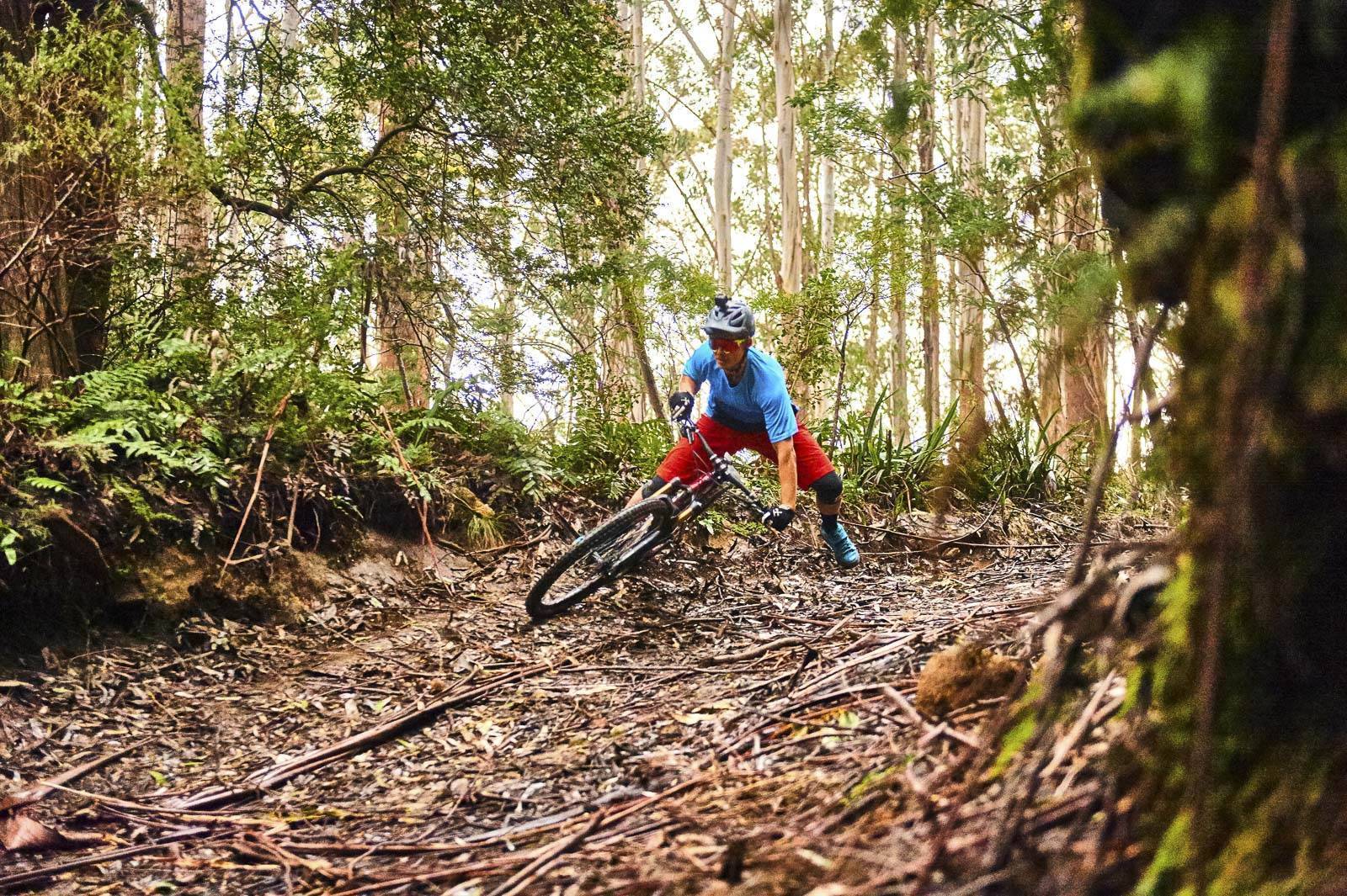 mt baw baw mtb