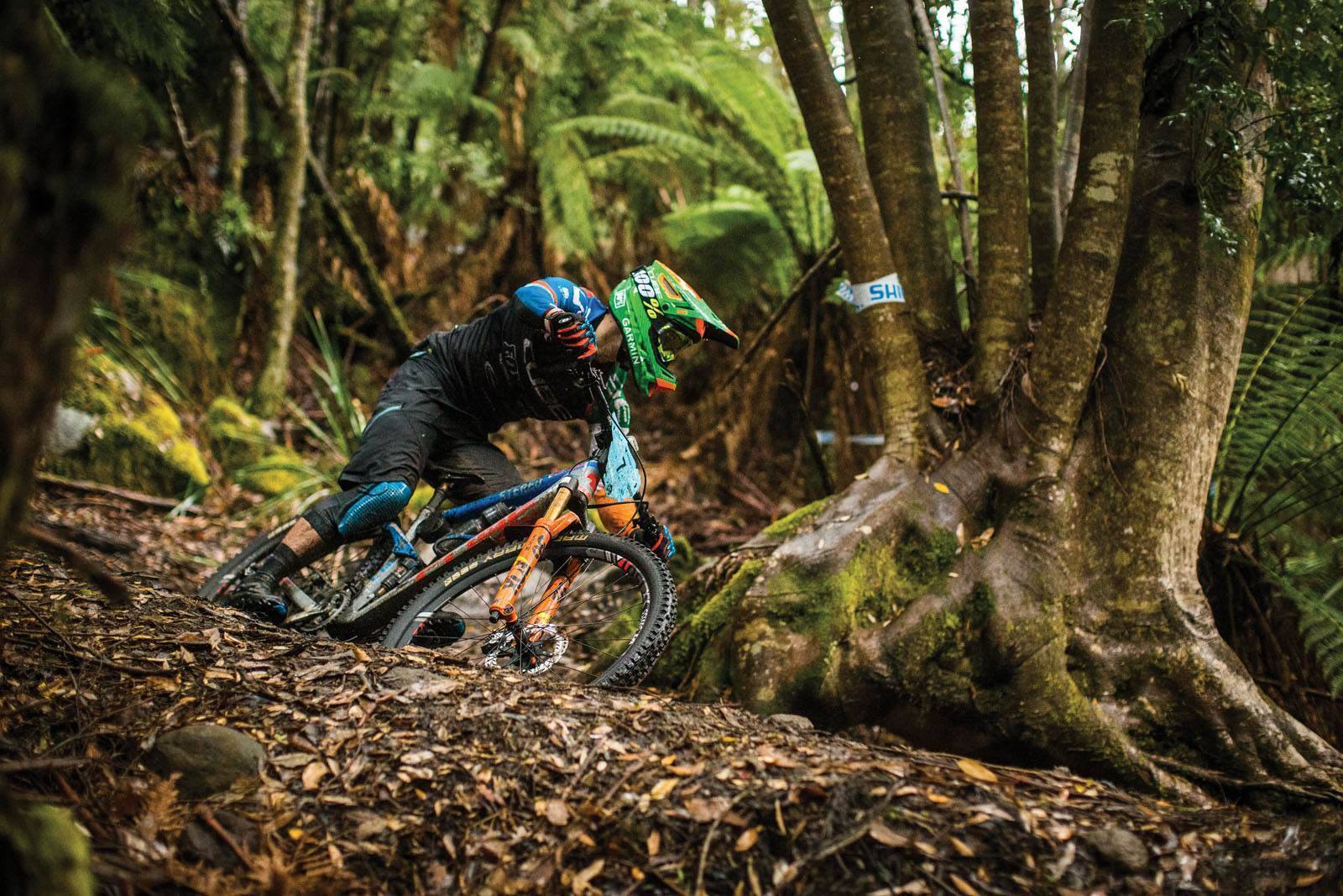ews mtb