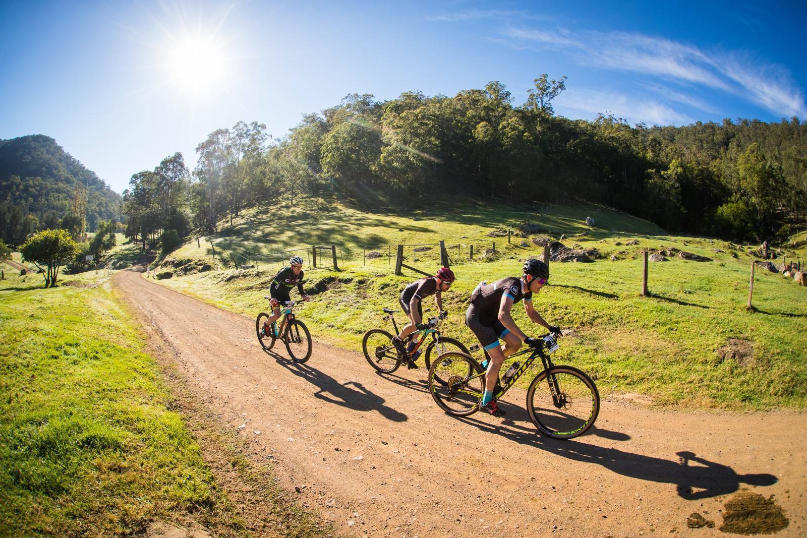 Lose Yourself Down The Rabbit Hole - Australian Mountain Bike 