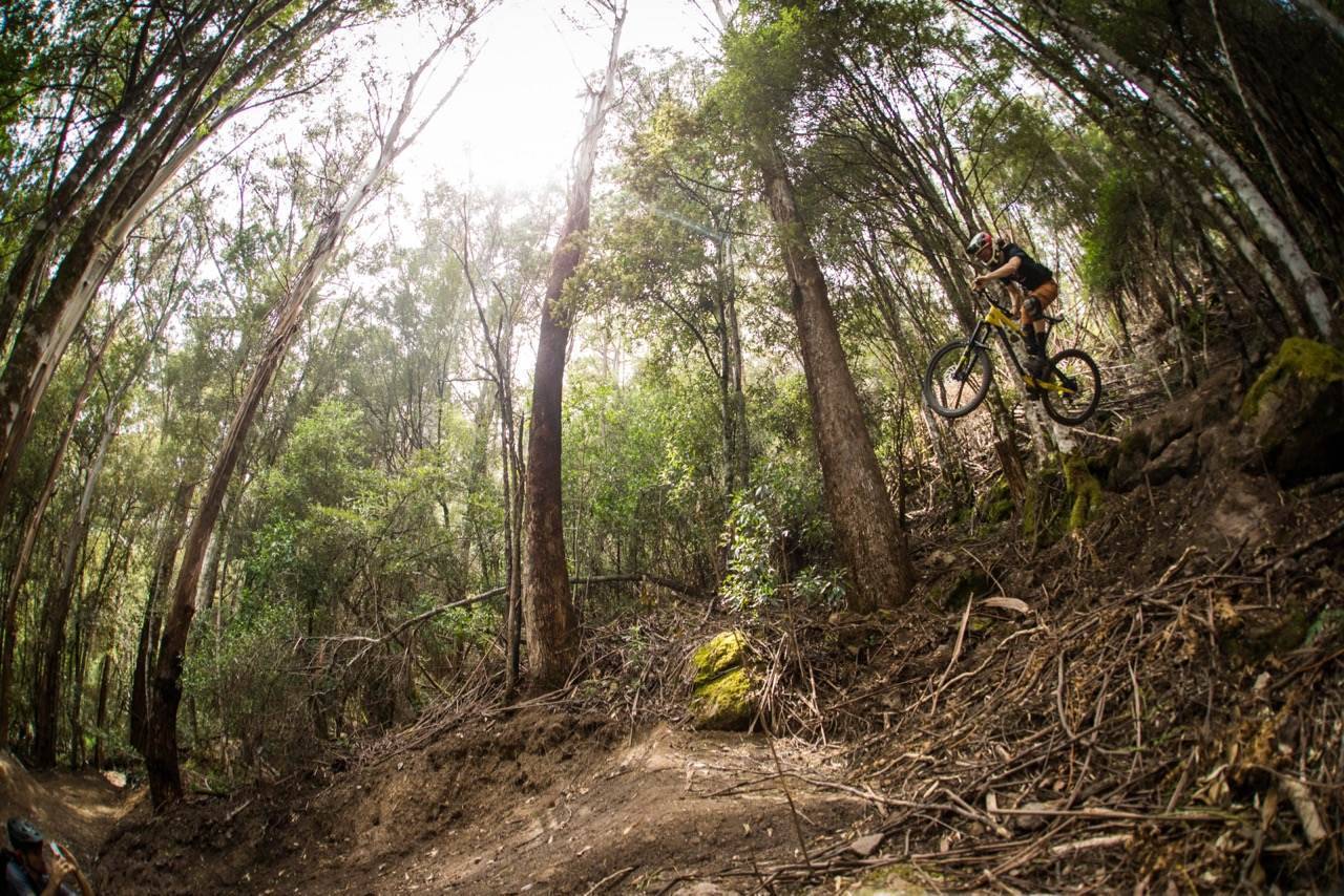 On the dirt at Maydena Bike Park - Australian Mountain Bike | The home ...