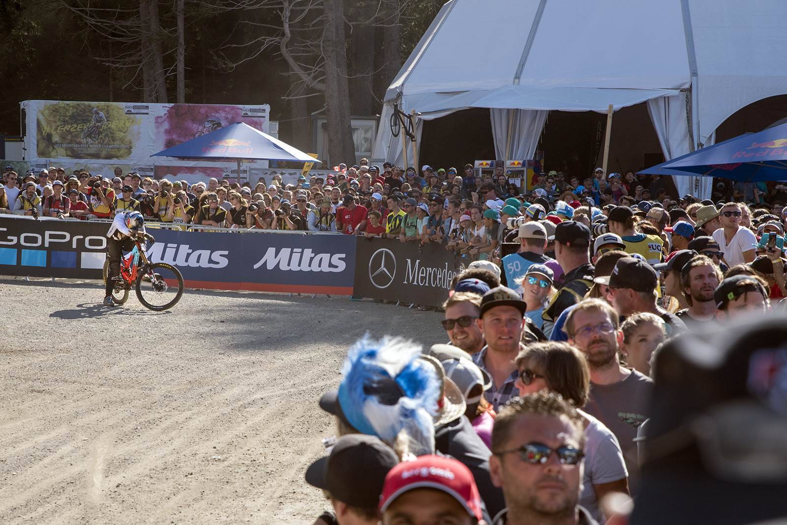 Downhill champions crowned in Lenzerheide - Australian Mountain Bike ...