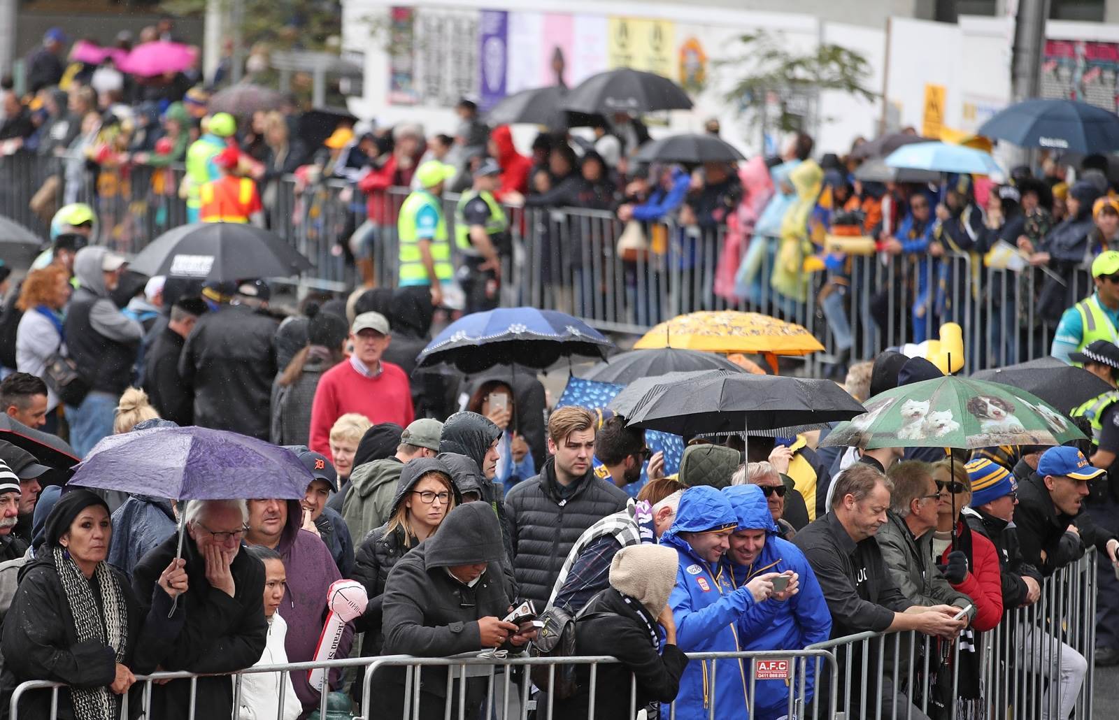 Pic Special: Don't rain on our Grand Final parade! - AFL - Inside Sport