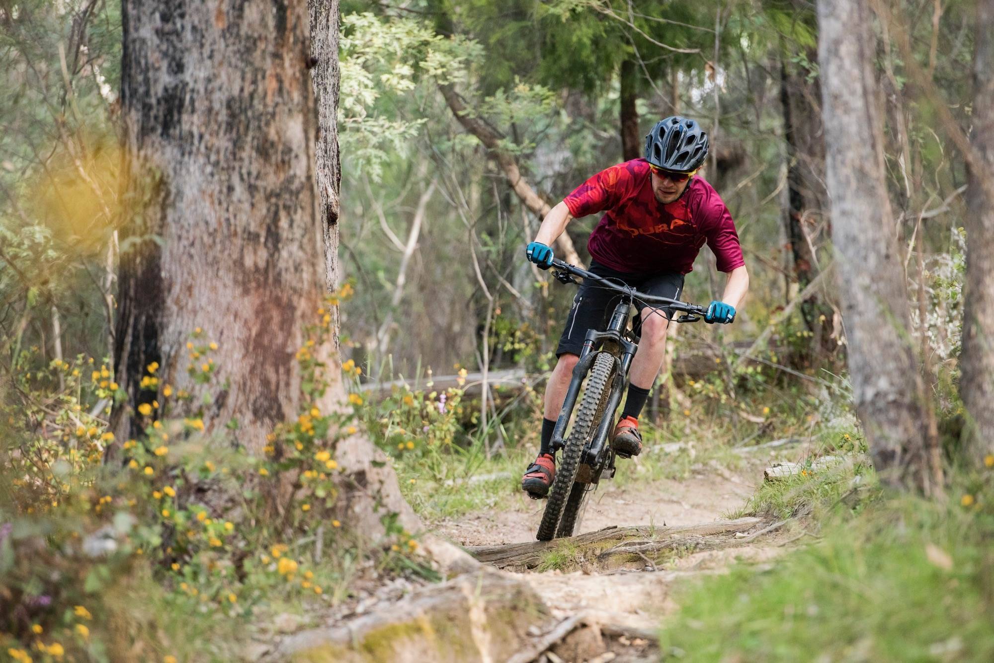 Mountain Biking in Victoria's Alpine Foothills - Australian Mountain ...