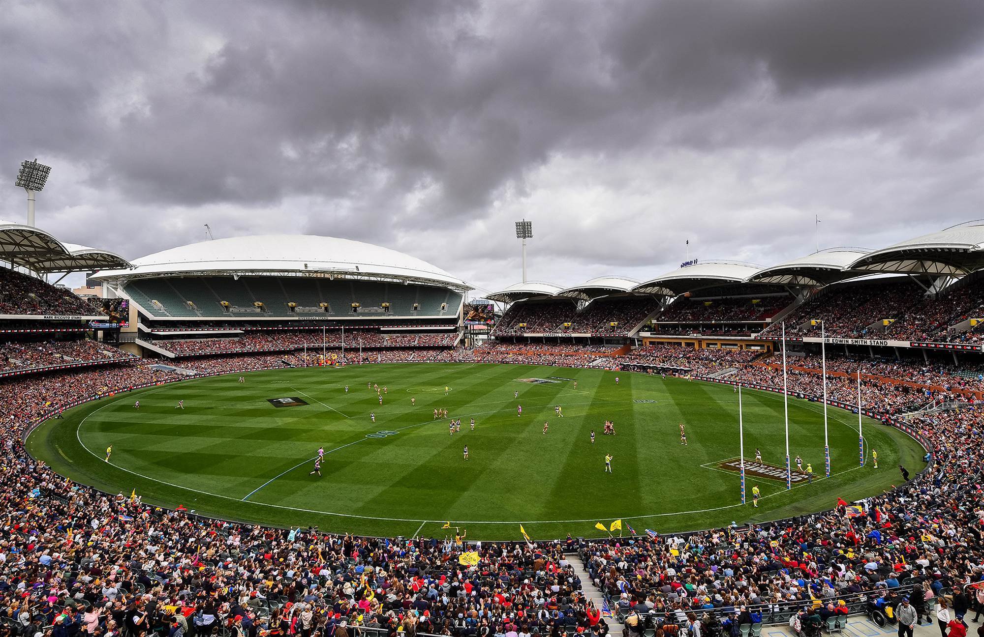 Pic special: 2019 AFLW Grand Final - AFL - The Women's Game - Australia ...