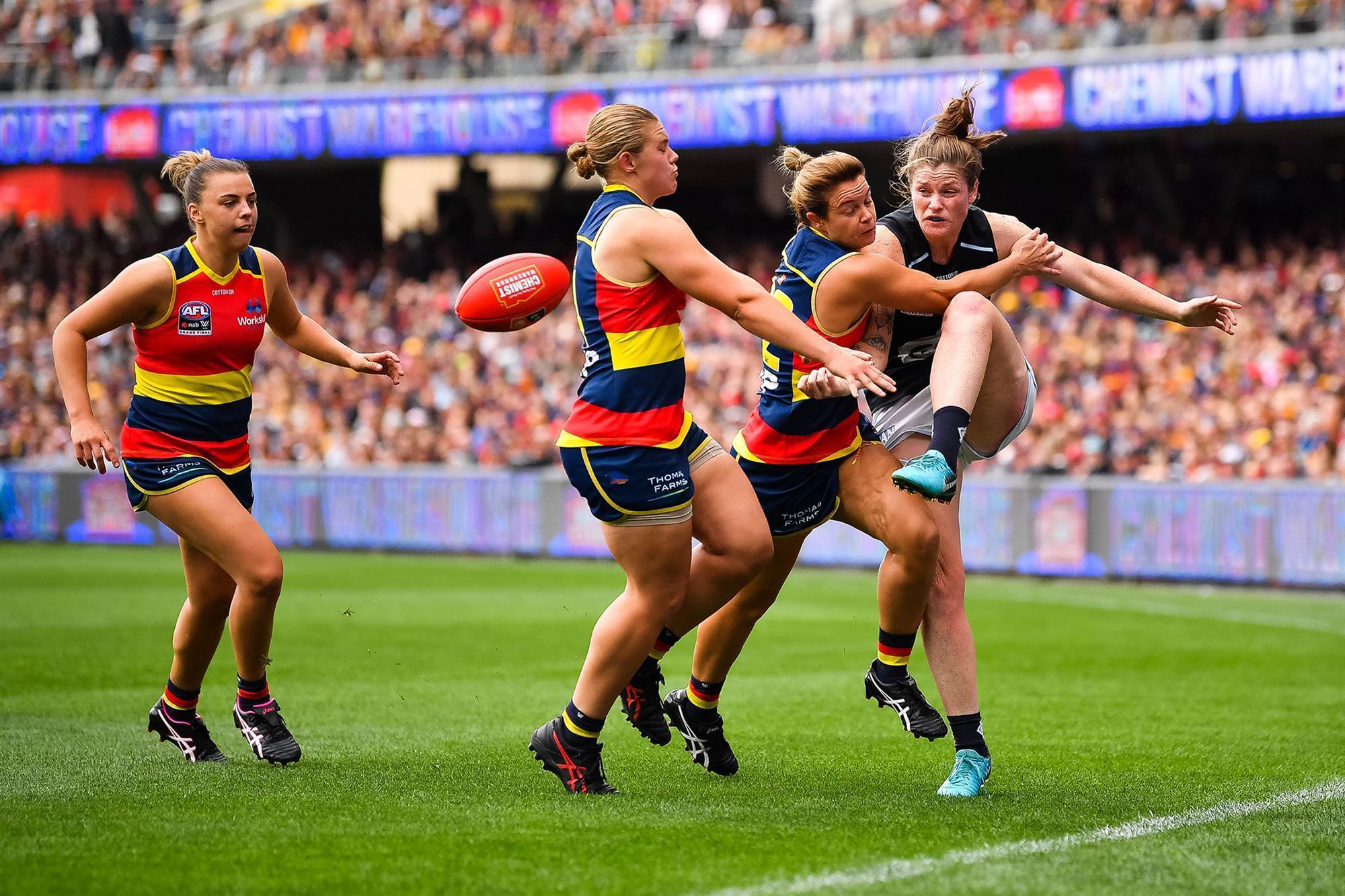 Pic Special 2019 Aflw Grand Final Afl The Women S Game Australia S Home Of Women S Sport News