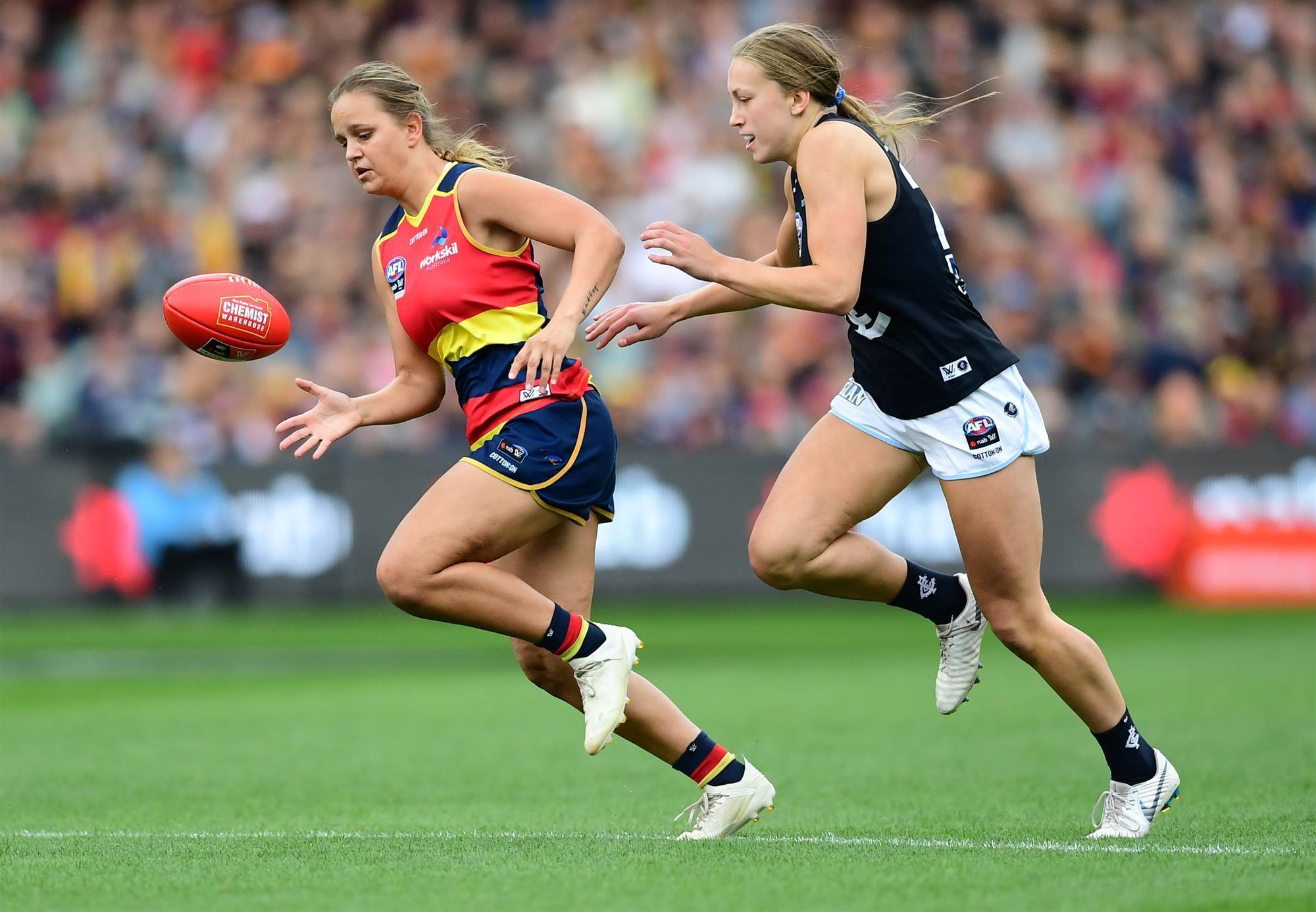Pic Special 2019 Aflw Grand Final Afl The Womens Game Australias Home Of Womens Sport News 