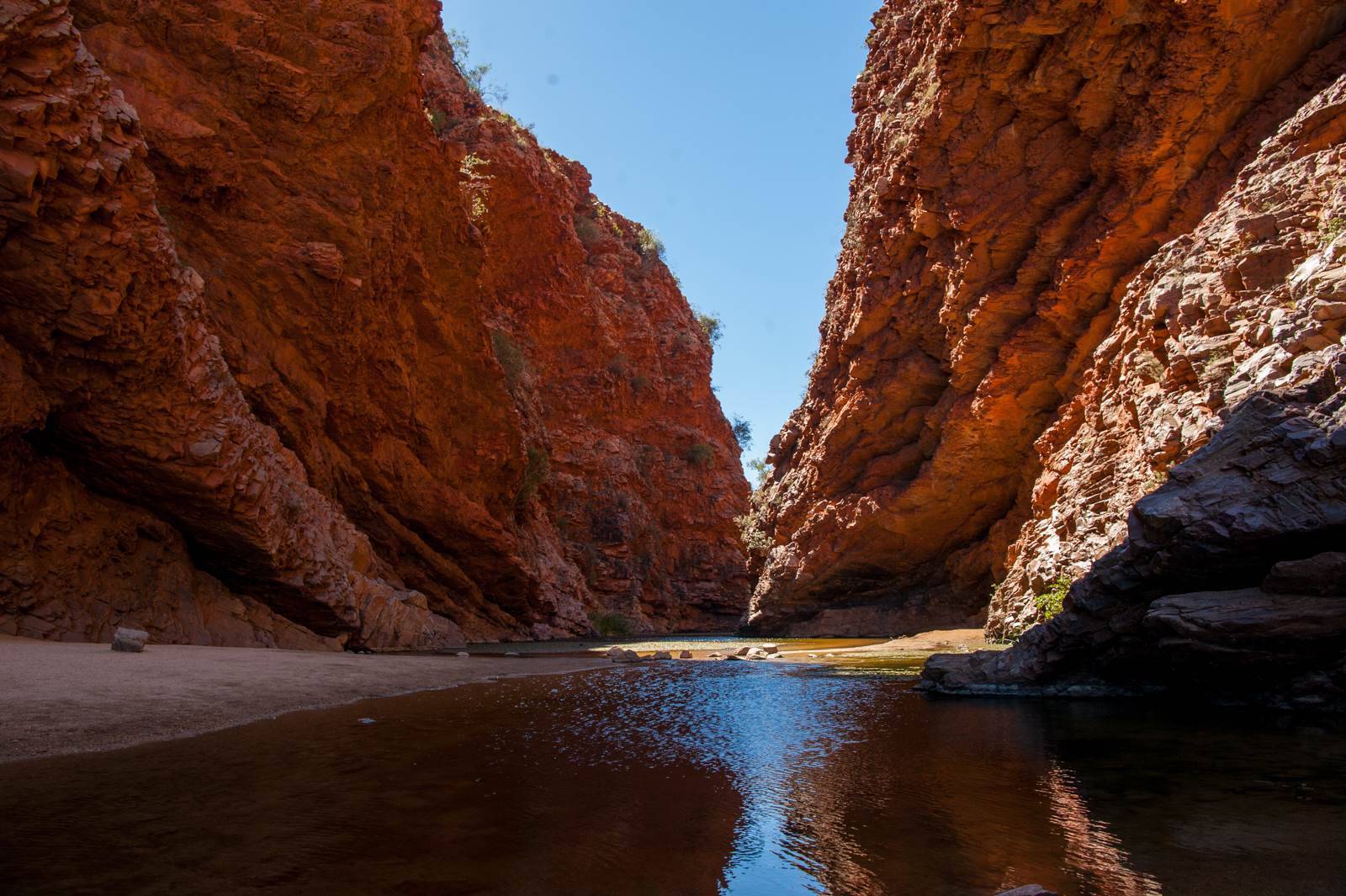 All about mountain biking in Alice Springs - Australian Mountain Bike ...