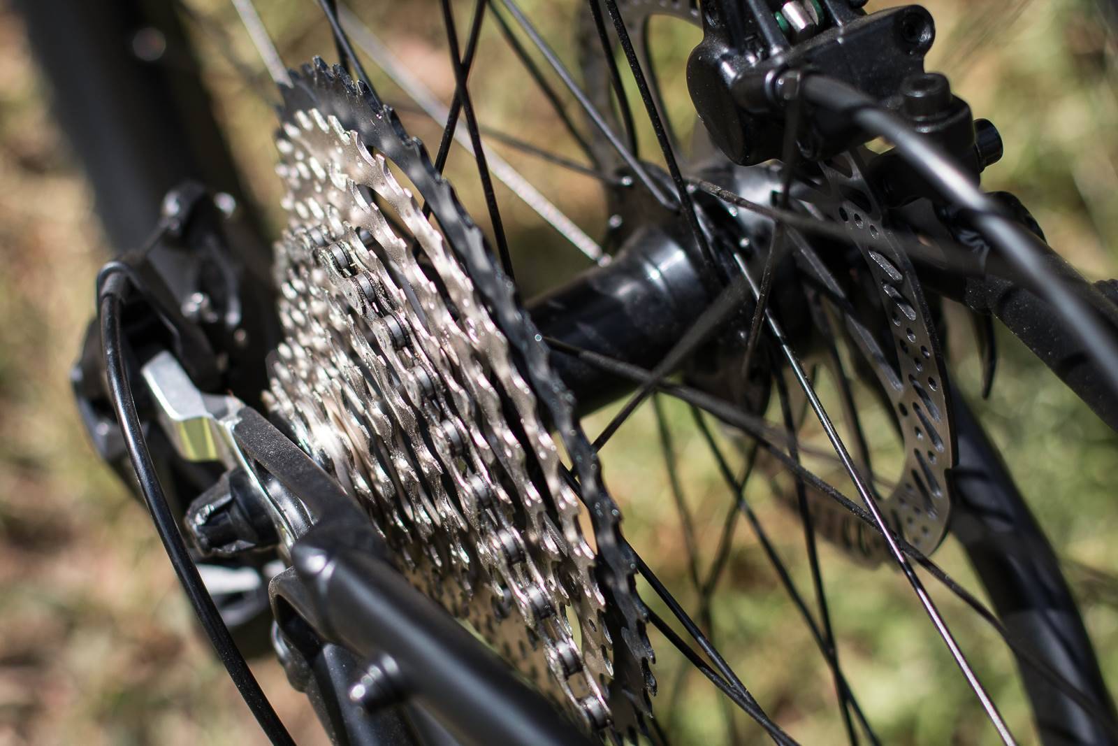 We Test The Aldi Premium 29er Mountain Bike Australian Mountain Bike