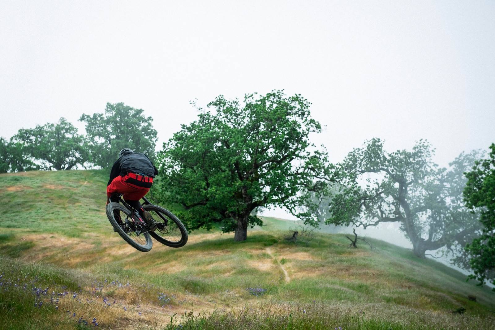 Everything you need to know about the Trek Fuel EX - Australian Mountain  Bike | The home for Australian Mountain Bikes