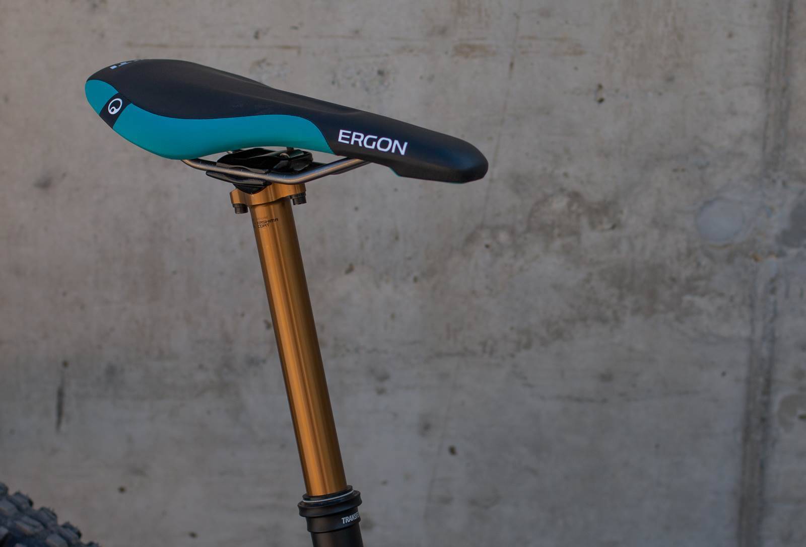 ergon yeti saddle