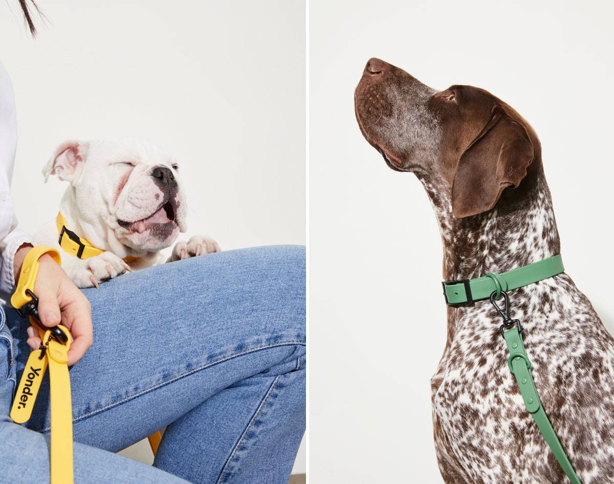 yonder dog leashes • design • frankie magazine • australian fashion